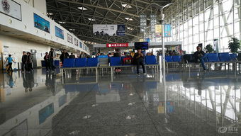 启程·入住篇 公共航空运输全流程指南